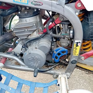 Gas Gas Wild 300 2T Quad