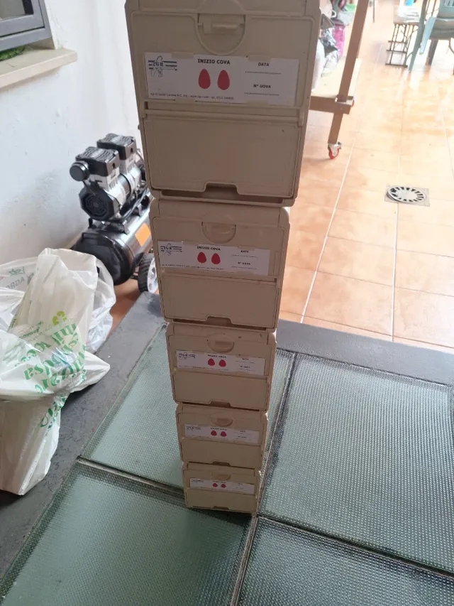 Nidales plástico agapornis