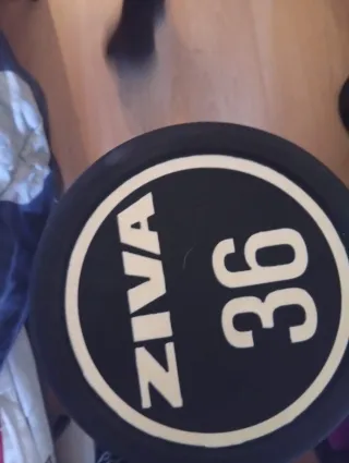 Mancuernas Ziva 36kg
