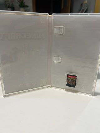 Minecraft Nintendo Switch