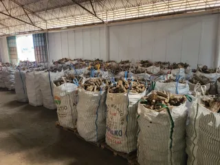 Leña de Encina Seca Big bag