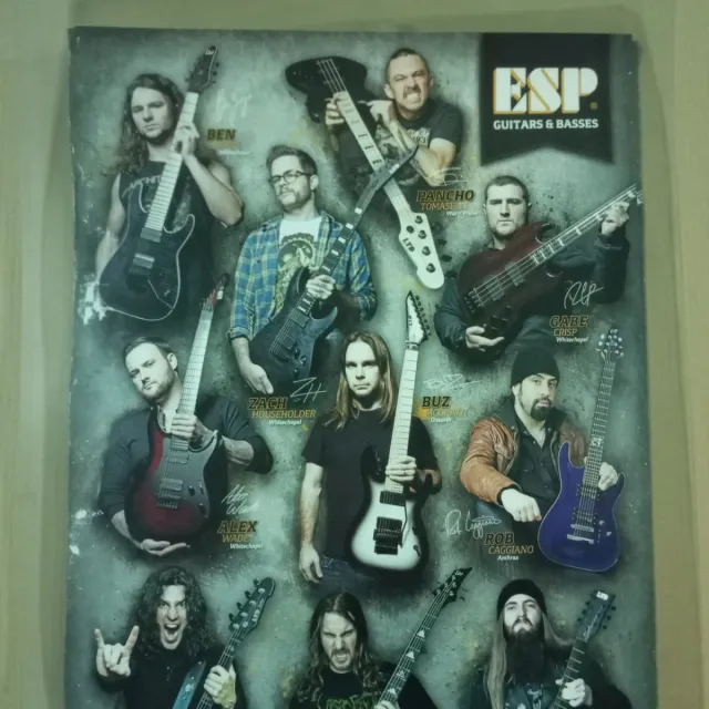 Póster Guitarras ESP y Guitarristas