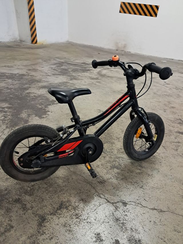 Bici MTB Giant Animator 12