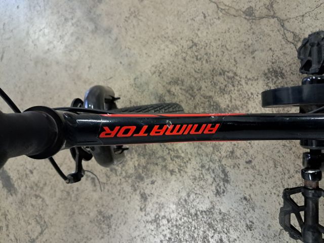 Bici MTB Giant Animator 12