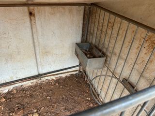 Parideras cabras y ovejas