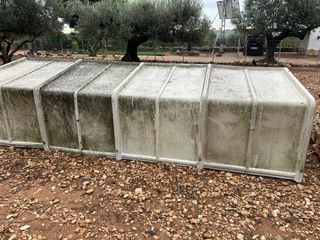 Parideras cabras y ovejas