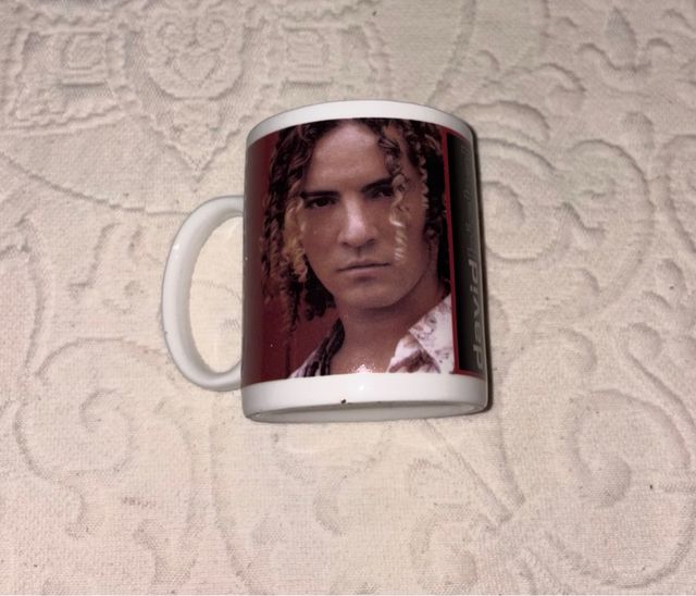Taza David Bisbal