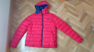 Plumas Hackett niño rojo