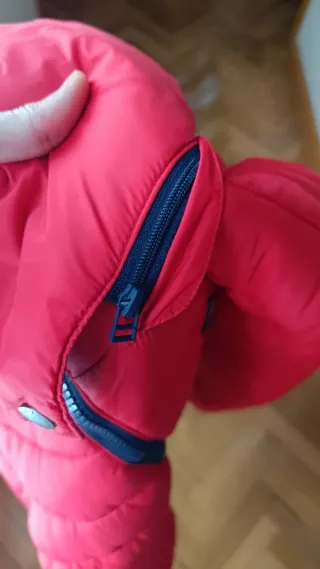 Plumas Hackett niño rojo