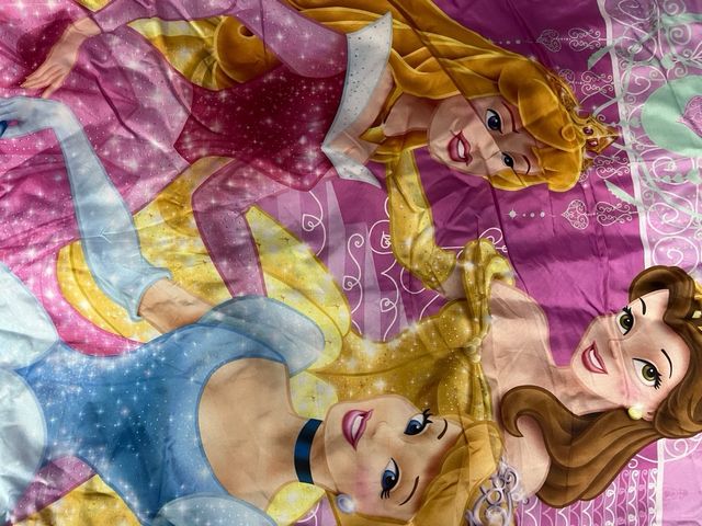 Colchoneta saco hinchable princesas Disney