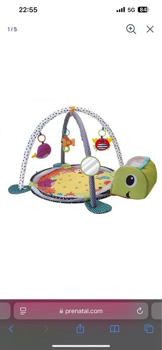 Palestrina tartaruga con giochi