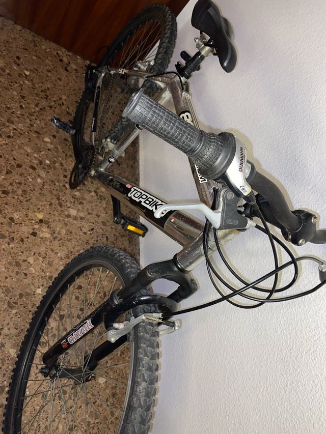 Bicicleta Topbike Aluminio