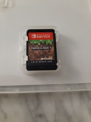 Minecraft Nintendo Switch