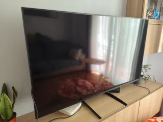 Monitor Sony Bravia Profesional 55
