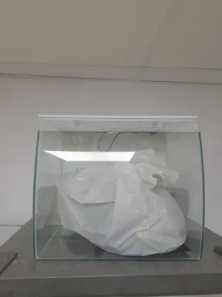 Pecera de cristal