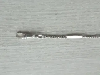 Leotina de reloj plata de ley