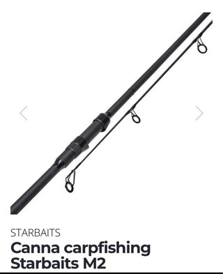Canne Starbaits Canna Carpfishing M2