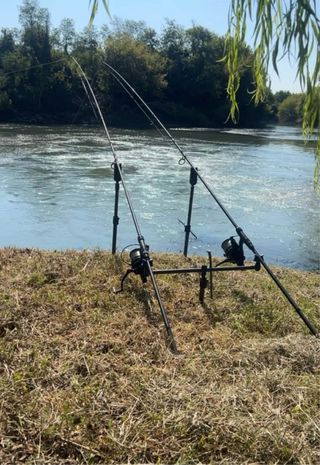 Canne Starbaits Canna Carpfishing M2