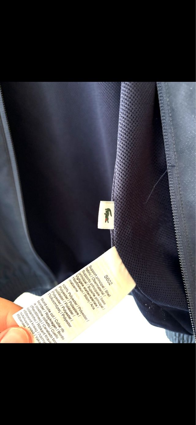 Chándal Lacoste Azul,precio negociable.