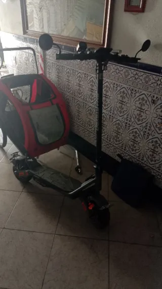 Smartgyro Rodway Evo