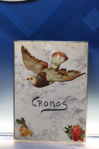 03. Cromos años 80. EF, West Germany. Reproducciones de cromos antiguos.