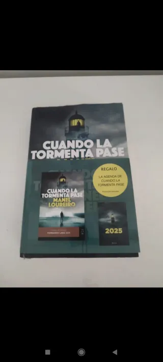 Cuando la tormenta pase: Premio de Novela Ferna...