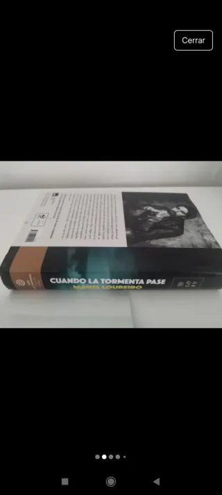 Cuando la tormenta pase: Premio de Novela Ferna...