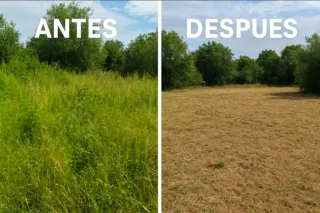 EXCAVACIONES AGUJEROS PARA PISCINAS DESBROCE