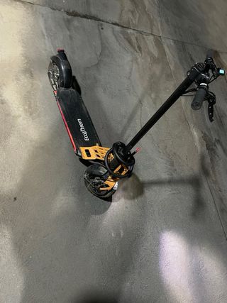 Patinete Eléctrico Ecoxtrem bison 