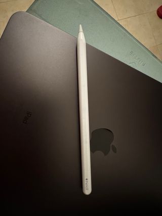 iPad Pro 12.9 256 GB + Apple Pencil + custodia
