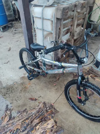 Bicicleta Monty BMX Plata