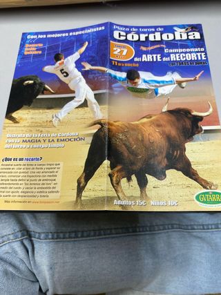 Cartel Plaza Toros Córdoba Recortadores
