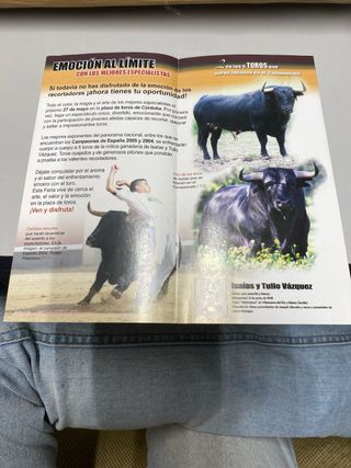 Cartel Plaza Toros Córdoba Recortadores