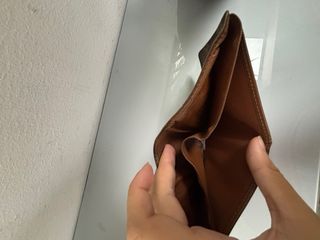 Cartera Louis Vuitton 