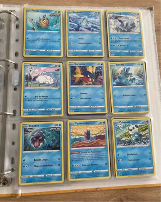 Colección 256 Cartas Pokémon 