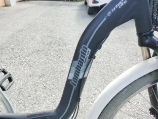 Bicicletta Lombardo a Pedalata Assistita