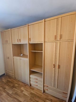 Mueble salón con cama oculta
