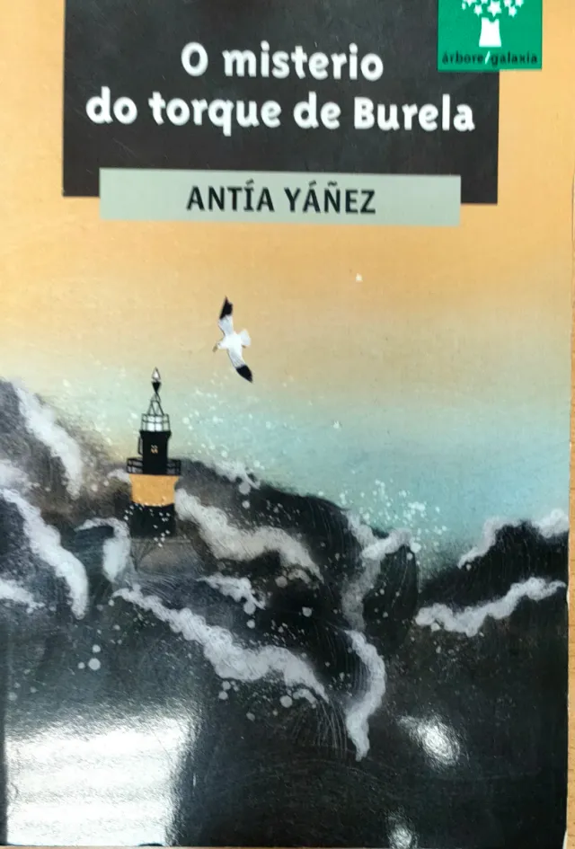 O Misterio do torque de Burela