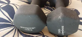 Mancuernas Songmics 10kg (Par)