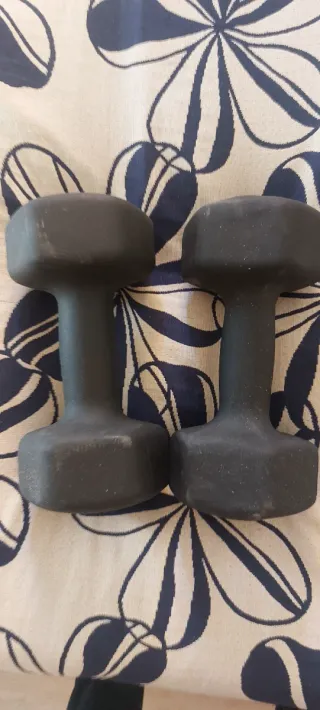 Mancuernas Songmics 10kg (Par)