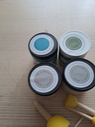 4 botes de pintura grandes y pinceles 