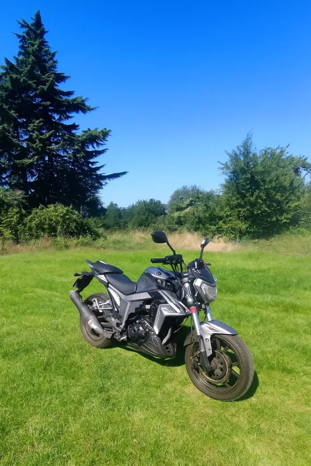 Moto deportiva gris marca goes 125