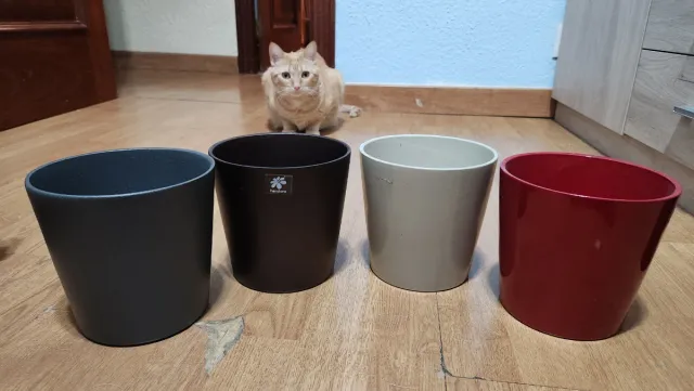 Lote 23 Macetas Grees en varios Colores