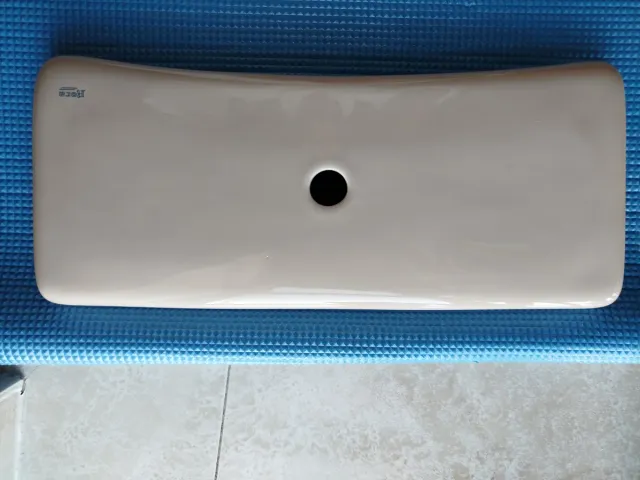 Tapa Cisterna Roca Góndola color Vison + pulsador.