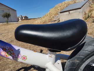 2 Bicicletas sin pedales Bikestar moradas