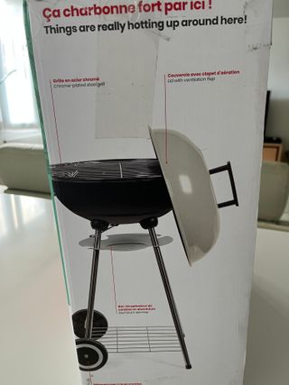 Barbacoa de carbón Livoo Ø41cm