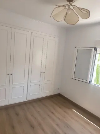 Atención oliva carpintero y constructor