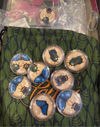 Jogo de tabuleiro Pollen