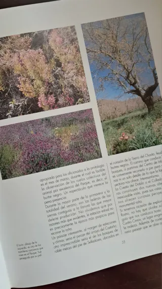 Paraísos de la Naturaleza