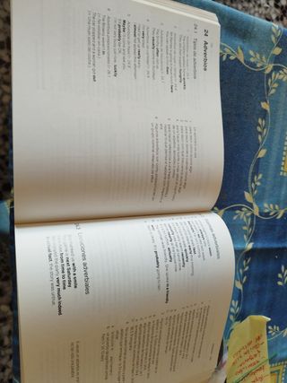 Basic English Grammar: Spanish Edition